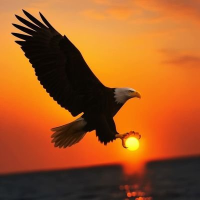 fo_sniper's profile picture. i take risks