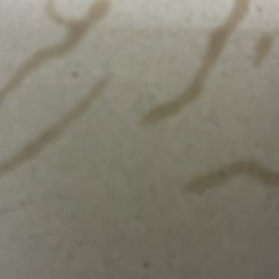 send2nirban's profile picture. 