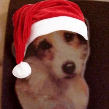 AndreaJackGoro's profile picture. Yorkie lass
 Beach boys, David Bowie, The kinks, Rod Stewart, Human League, Coldplay Dogs, Birds, soaps, music, travelling, art, photography