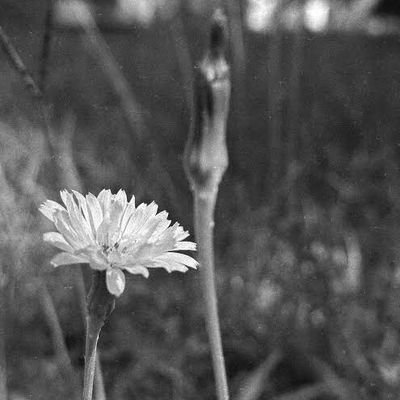 pavlova_voyodka's profile picture. Veni vidi vici