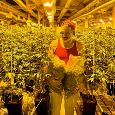 danielstricker's profile picture. Ich bin der Pitbull gegen Bullshit und der einzige (ober-)gerichtlich anerkannte Journalist der Schweiz. https://t.co/r6vg4AK8vt https://t.co/KDVp6aRoKU