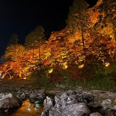 KsRBw9jmip51667's profile picture. 