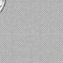 gorosoeswag's profile picture. 구독합니다 감사합니다🫡