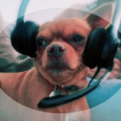 skyguerrilla's profile picture. latinoamericanista, contra la agenda 2030 y el #NWO, estoy en Twitter desde que era un llano sin pavimentar 🌎