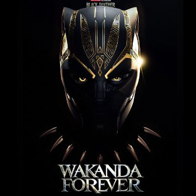 169viewz's profile picture. The greatest risk in life is not taking any risks at all.