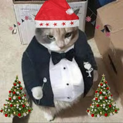 kralyasuo1's profile picture. Parody account

(league of legends aşıgı) 

  ESKİ ELSED Cİ

 GALATASARAY 💛❤ VE / Recep İvedik hayranı