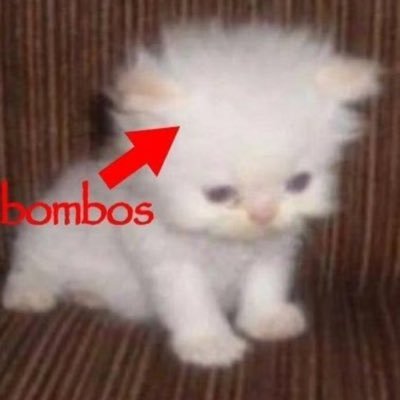 abilercokomel's profile picture. mahallenin sakin muhalif mühendisi