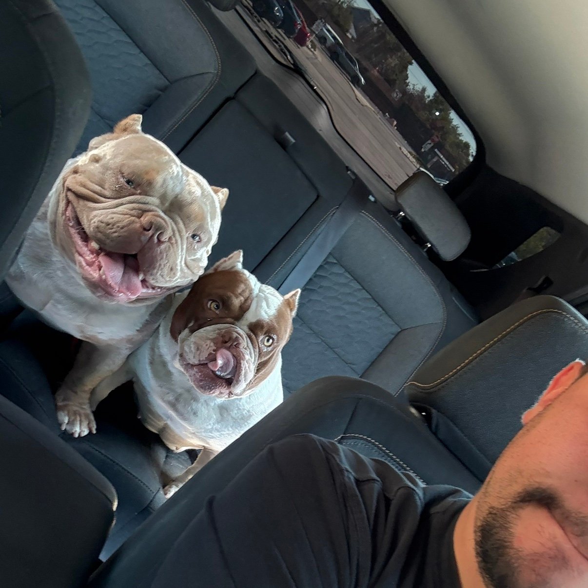 Zeker_Jesus's profile picture. 