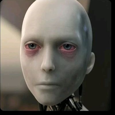 talnovah's profile picture. Follow me for instant follow back 🙏. 
soft soul, easy mind, Chess player ♟️, football lover 😻,  God lover 🤩