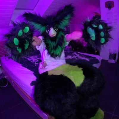 rey413301's profile picture. I’m a Swiss Furry. I Like play Games and climbing. I Like Marvel and Fnaf to.