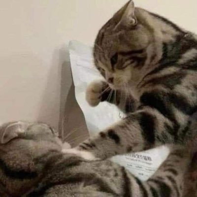 mellominmlm's profile picture. #kengnamping #thomaskong #tlefirstone is my life🛁 ⠀ ⠀ ⠀ ⠀⠀⠀ ⠀ ⠀ ⠀ ⠀ ⠀ ⠀ ⠀ ⠀ ⠀ ⠀ ⠀ ⠀ ⠀ ⠀ ⠀ ⠀ ⠀ ⠀ ⠀ ⠀ ⠀ ⠀ ⠀ ⠀ ⠀ ⠀ ⠀ ⠀ ⠀ ⠀ ⠀ ⠀ ⠀⠀⠀ ⠀ 🍃fanfic; #ดอกไม้ในวันลา