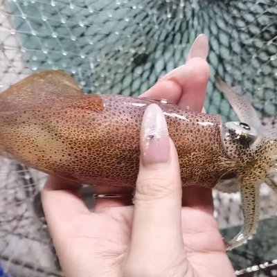 pjnprhggg's profile picture. 🎧 音楽と自然を愛し、旅先では特別な風景や音を楽しみます。日本、アメリカ、タイを訪れ、今は日本語を学んで、感じたものを大切にしたいです。