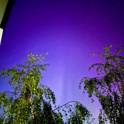 D1Briza's profile picture. 