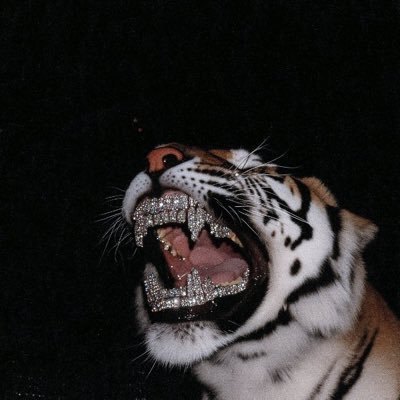 sotowhite_'s profile picture. Your time will come.