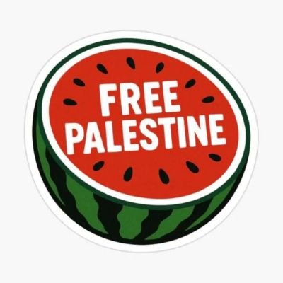 AmparoCata2737's profile picture. 