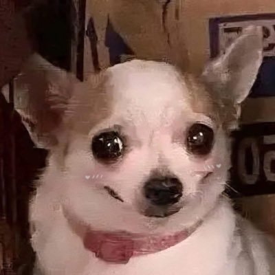 msnightynight's profile picture. : รูปไม่งาม นามไม่เพราะ แถมปากดี