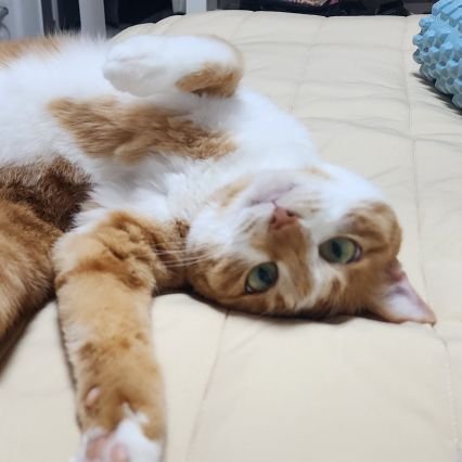 tomorrowthisday's profile picture. 