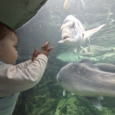 blave1878's profile picture. UTFT