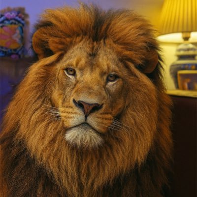 liovid9's profile picture. video 🎥