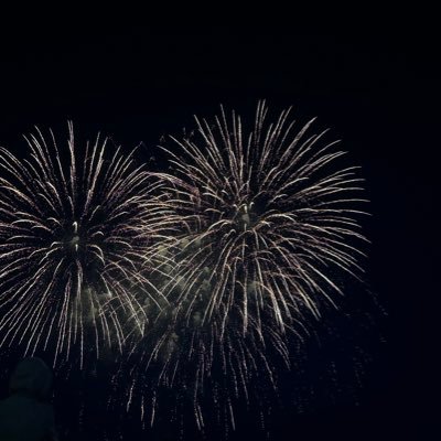 Beisore_BS's profile picture. 中文/English/日本語    日常生活记录