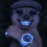 B_ghost03's profile picture. 