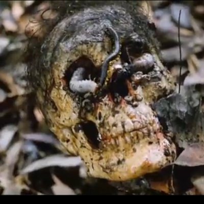 randoms35413893's profile picture. I am very poorly today & very stupid & hate everybody & everything. One lives only to make blunders.

Um dia eu criarei um homúnculo