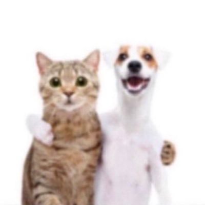 aki0000h's profile picture. free palestine 🇧🇦