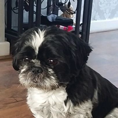 Jones787Sj's profile picture. 