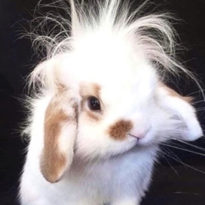 MOON_light_S2_'s profile picture. #Donghyeon