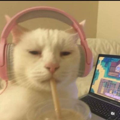 tbdamafadimem's profile picture. tbd ama fadimem ayrı bambaşka bi mevzu