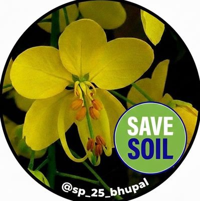 sp_25_bhupal's profile picture. Seeker, Earthbuddy