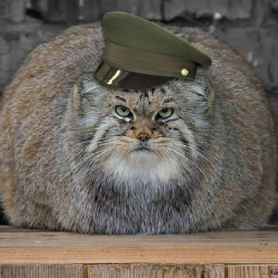 TRnc1TeX3848773's profile picture. 