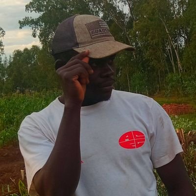 TomMboya351176's profile picture. mboya