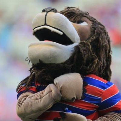 LAION884983's profile picture. 