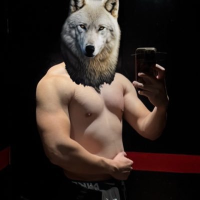 Alphawerewolf__'s profile picture. 