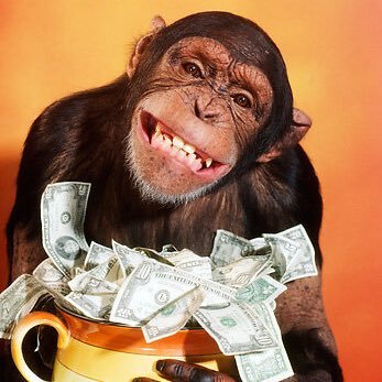 khmerchacalinho's profile picture. jeune prince 24 carats sur la tête