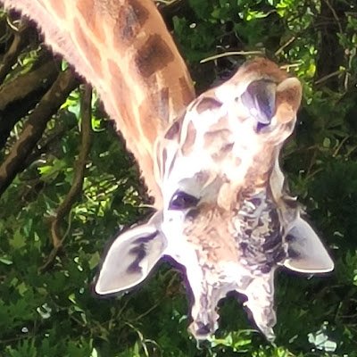 GLegault78338's profile picture. 