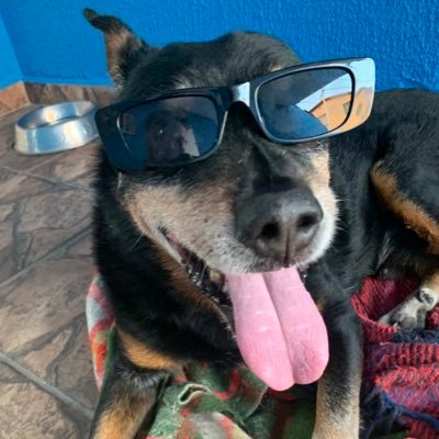 _ronarme's profile picture. 