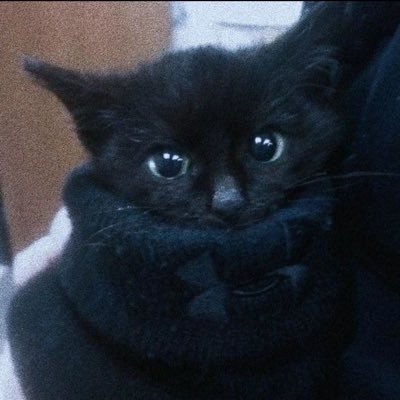 may1v5's profile picture. nostalgie et regret