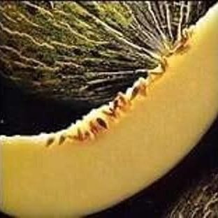 CarmelonHaldon's profile picture. Open your melon 🍉