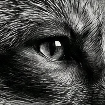 UnrealRed__'s profile picture. AI Engineering - Accelerate, and never look back. 🦊 — e\acc