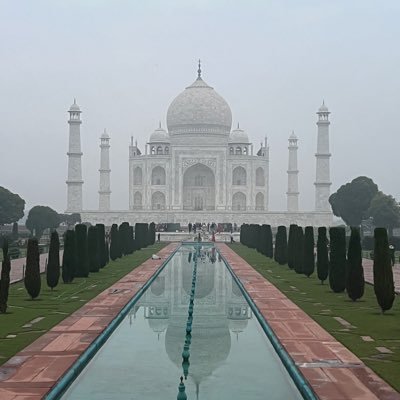 SwiftSwami's profile picture. artist