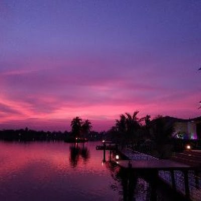 Madhurima090802's profile picture. 