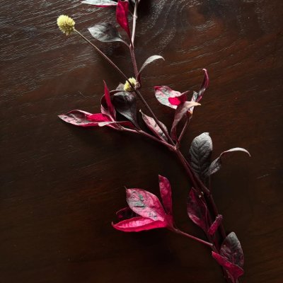 wdwafswwd's profile picture. 昼間は市場の動向をモニタリングし、夜は美味しいものを追いかけ、週末は飛行機で旅をします。投資と旅行のおかげで、人生は驚きに満ちています。