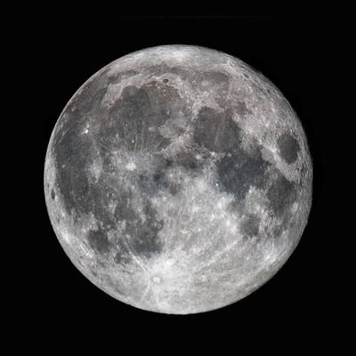 adavidesc's profile picture. 