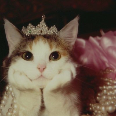 jammielfc's profile picture. You’ll Never Walk Alone