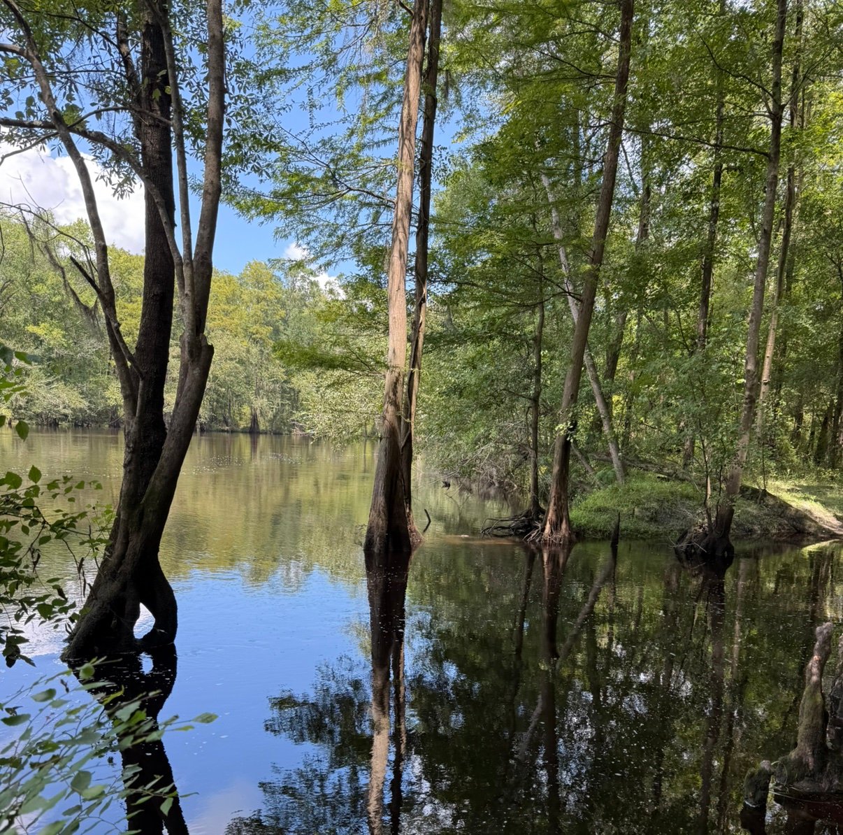 Natilay711's profile picture. 