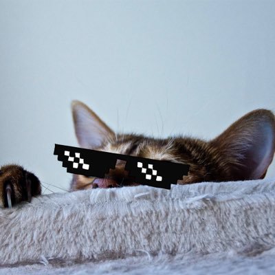 FlaShAWP's profile picture. 😎