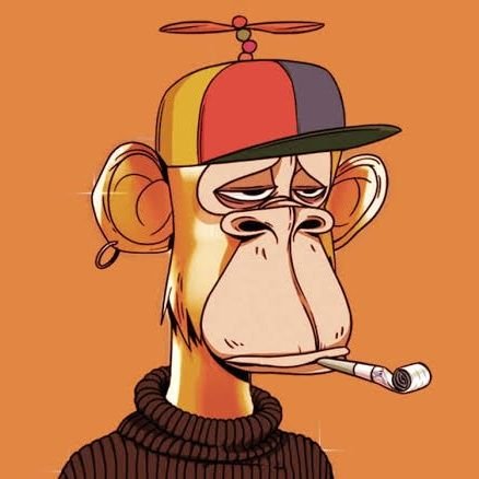 0x_aak's profile picture. aut viam inveniam aut faciam.