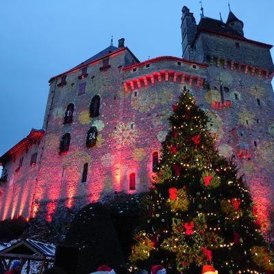 Studio_6_1's profile picture. STUDIO 6.1 | MÉDIA HIPPIQUE 100% GRATUIT | infos & Conseils de Jeux - 
https://t.co/stRxf75tVP